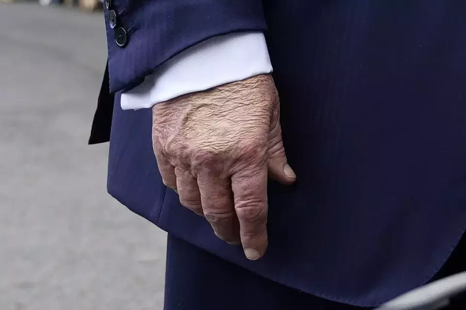Donald Trump memar