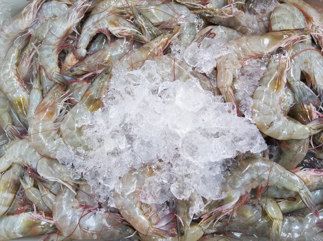 udang beku